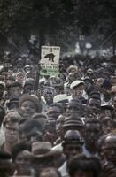 James Meredith March, first Black Panther signs