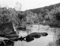 Lower Barton Creek