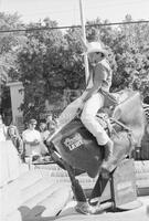 Sigma Alpha Mu Bull Riding