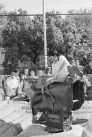 Sigma Alpha Mu Bull Riding