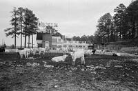 Legislature, Jackson, Mississippi