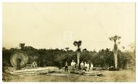 Boss Tong and native laborers preparing to build a rig at La Pitahaya