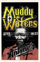 Muddy Waters