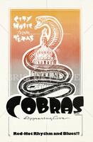 City Music from Texas - Cobras