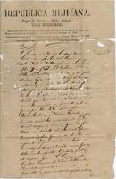 [Expedient ruling of the Constitutional Court of Ciudad Guerrero en the year 1867]