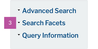 image of the search facets option